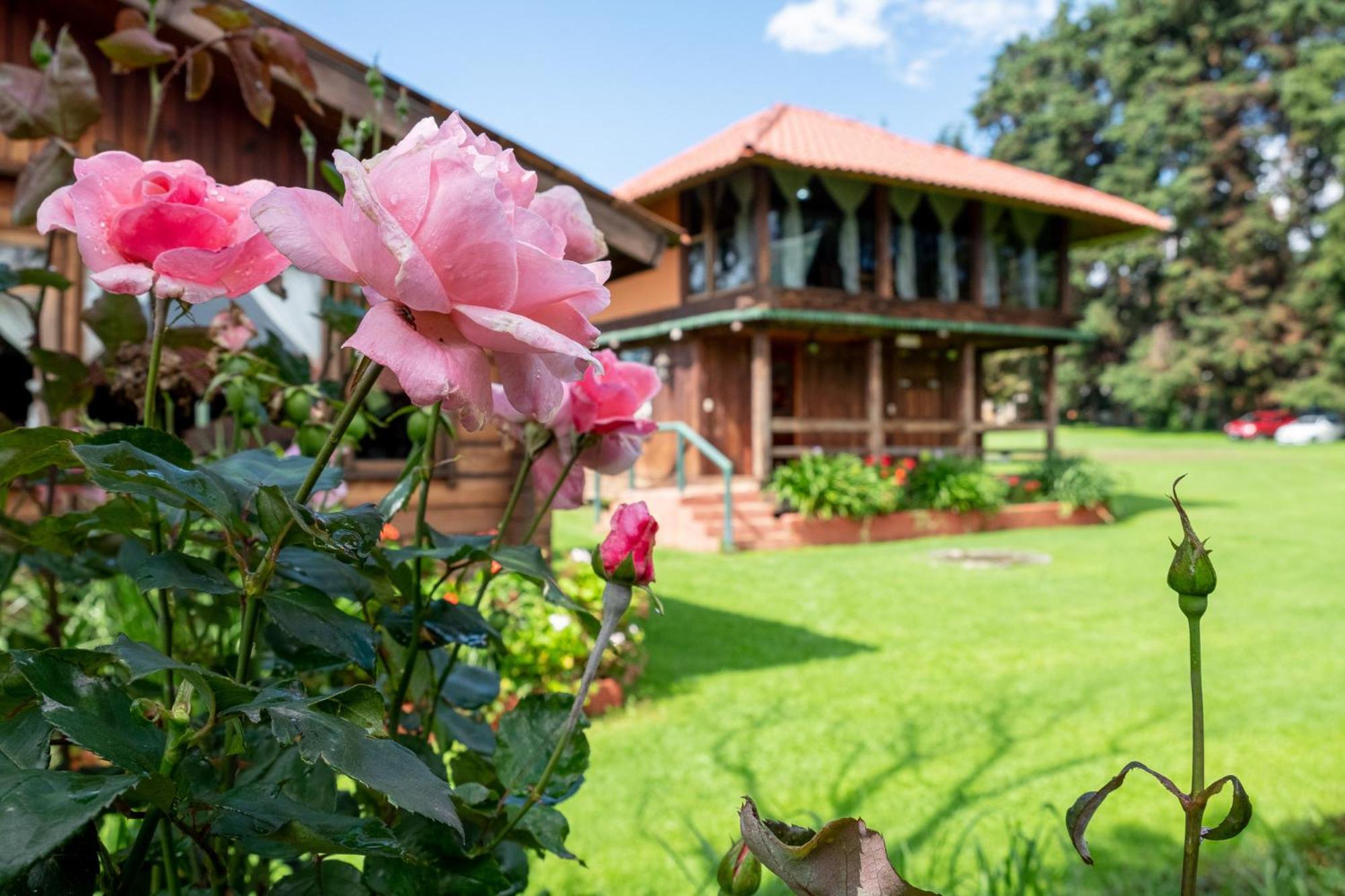 Zirahuen Forest And Resort Luaran gambar